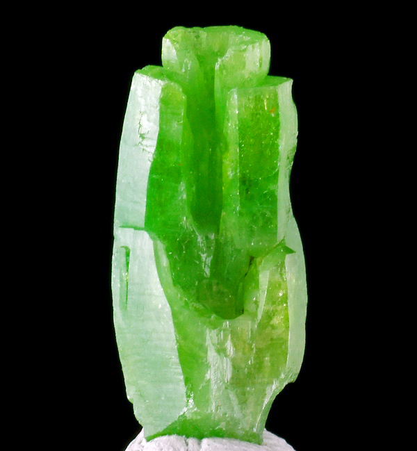 Spirifer Minerals